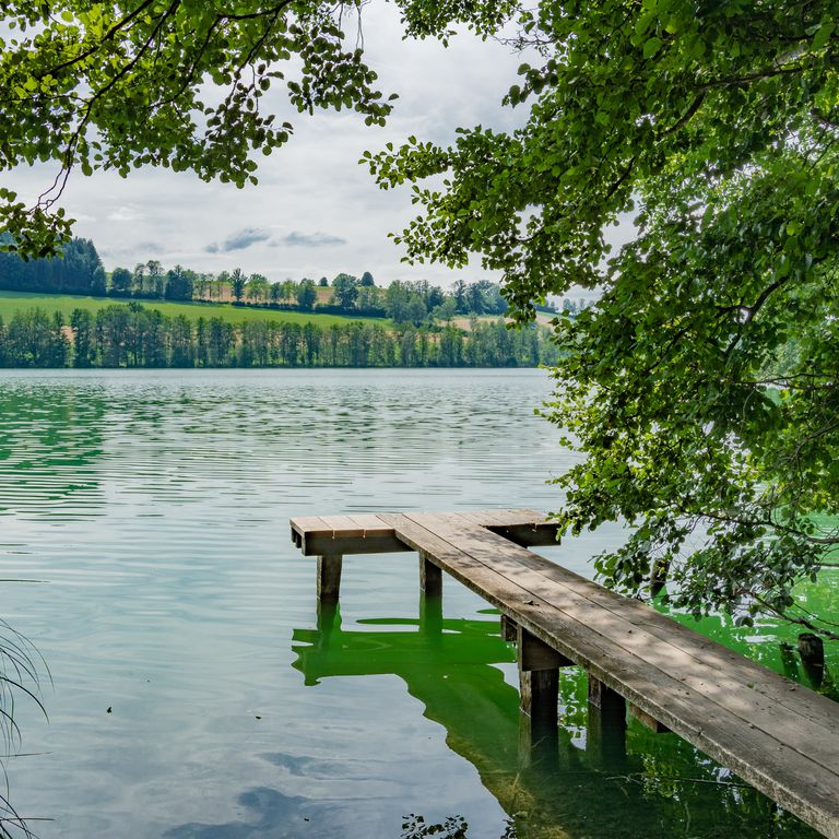 soppensee-soppisee