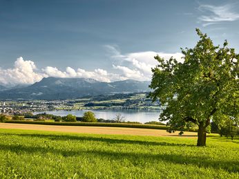 Podcast Folge: Die Luzerner Kunstwelt